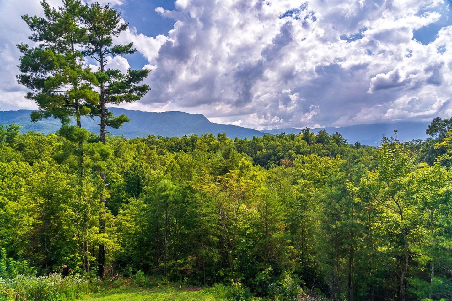 Big Bear Ridge - Breathtaking Mountain Views And Private Forest Scenes In Amazing Large Log Gatlinburg